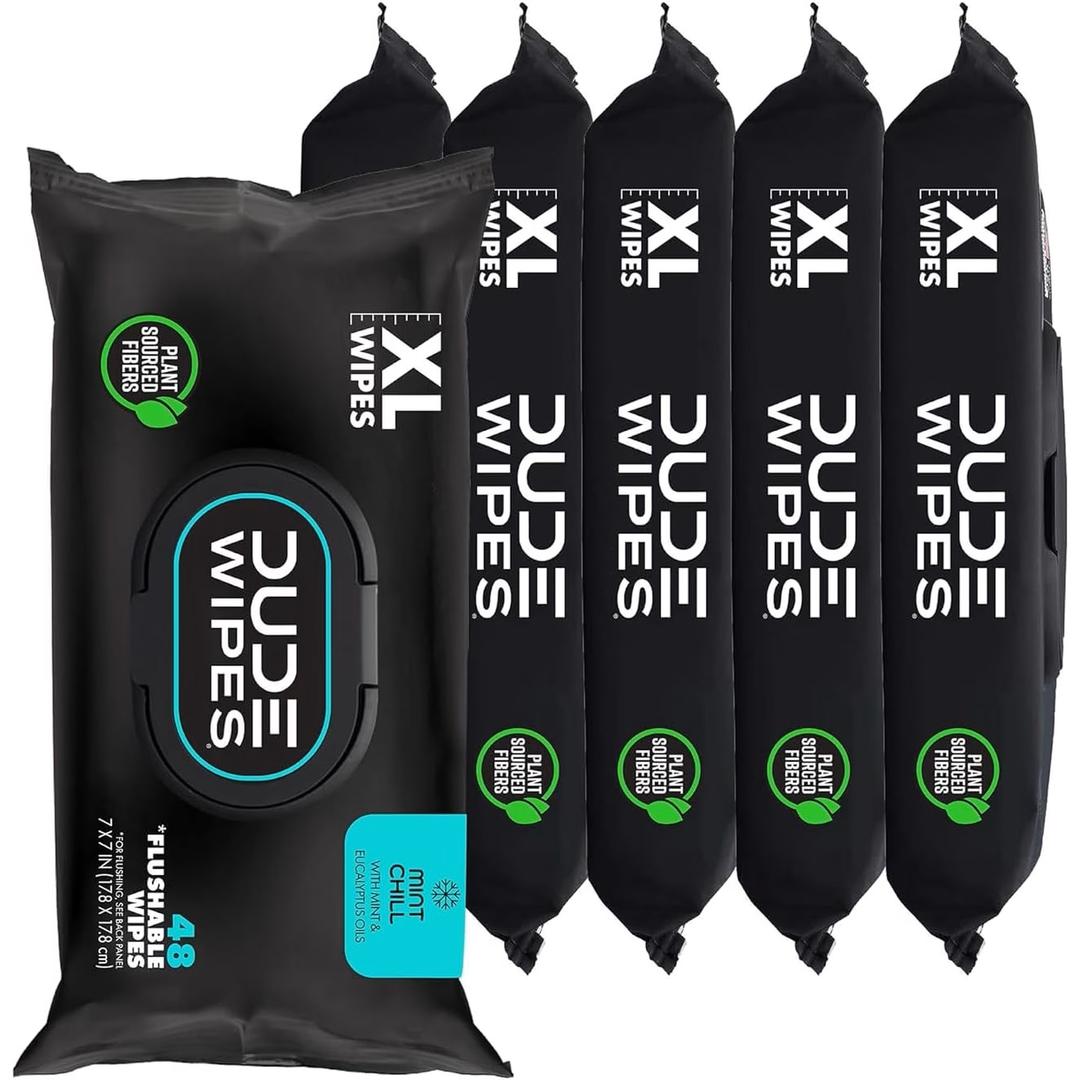 DUDE Products Flushable Wipes, Mint Chill, 288 Count, 6 Pack