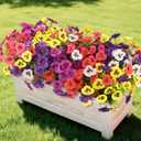 INQCMY Artificial Fake Pansy Flowers for Outdoor, 12 Pcs Faux Silk Pansies Spring Summer Flowers for Outside for Planter Pot Porch Yard Patio Front Door Window Box Home Decor
