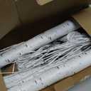 2-Pack 4FT Lighted Birch Trees (Higher Size & Floor Standing), 96 LED Twinkling Birch Christmas Tree Lights for Indoor & Outdoor, 2 Modes Warm White Tree Lights for Christmas Thanksgiving Home Decor