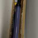 Wagner Spraytech 2419329 PaintStick EZ Roller Paint Roller, Long Handle Extension Roller for Painting Interior Walls and Ceilings