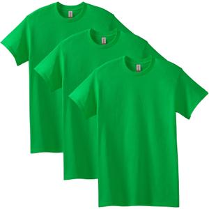 Gildan Adult Heavy Cotton T-Shirt, Style G5000 (Green, L)