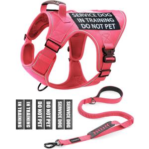 Reflective Pink Service Dog in Training Vest Harness Leash Set for Medium Dogs, Adjustable Heavy Duty Padded Dog Harness, with Front Clip and Metal Buckles Do Not Pet for Training, Hiking (Small (20-45 lbs))