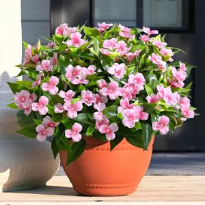 Waipfaru Artificial Flowers for Outdoors, UV Resistant Faux Flowers for Outdoor Planters, Silk Impatiens Bouquet Pink Spring Artificial Plants for Garden Porch Patio Balcony Yard Decoration5pcs