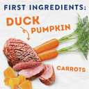 Natural Balance Platefulls Homestyle Adult Wet Dog Food, Savory Duck & Pumpkin Recipe Cooked in Bone Broth, 9 Ounce (Pack of 12)