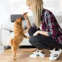 4 x Good'N'Fun Triple Flavored Rawhide Kabobs for Dogs (4 Ounce (Pack of 1))