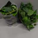 alyptus Fake Pothos Hanging Plants  33" Set of 2 Faux Ivy Vines with Pots, Realistic Silk Devils Ivy for Indoor Dcor, Low Maintenance Artificial Greenery for Home or Office (Green)