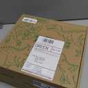 4 PCS Big Dinosaur Toys for Kids 3-5 Realistic Dinosaur Figures with Learning Cards & Movable Parts- Jumbo Dino Toys for Kids 5-7 Ideal Gift for Toddlers Boys Girls Ages 3+ (Multicolor)