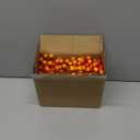 44PCS Artificial Fall Berry Stems Branches, 8.6 Inch Faux Orange Holly Fall Berry Picks and Sprays, Falls Floral Picks Ornaments for Autumn Thanksgiving Wreath Table Vase Centerpiece DIY Decorations