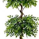 6FT Artificial Ficus Tree Faux Plants Indoor with White Pot | Lifelike Dense Leaves, Easy Snap-fit Assembly, No Watering, No Pruning, Faux Ficus Trees for Living Room Office