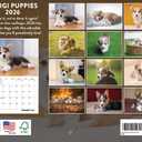 Corgi Puppy Calendar 2026 Wall Monthly Corgis Gifts For Corgi Lovers Women Men Mom Dad | American Made In The USA