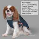 KYEESE Waterproof Dog Coat, Warm Windproof Jacket,Turtleneck Winter Dog Coats for Small Dogs with Leash Hole, Reflective Pet Clothes & Outdoor Apparel,Thick Fleece-Lined Winter Jacket,Navy Blue, Large