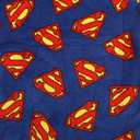 Bioworld Superman Logo All-Over Print Boy's Blue Long Sleeve Sherpa Lined Kids Wearable Hoodie Blanket