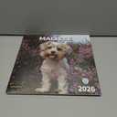 3 x windrio 2026 Wall Calendar, Calendar 2026, July 2025 - December 2026, Wall Calendar Maltese, 12" x 24" Opened,Full Page Months Thick & Sturdy Paper for Calendar Organizing & Planning