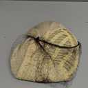 LeMarnia Women's Wigs 70s 80s Fashion Singer Wigs Platinum Blonde Long Curly Beehive Wigs for Halloween Costume Party Wig