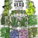 Seed Needs Herb Seeds Variety Pack Culinary Herb Collection (12 Individual Packets for Planting Indoors or Outdoors) Grow Your Own Herb Garden - Heirloom, Non-GMO