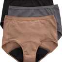 Hanes womens Brief Panties Pack, Classic Cotton Brief Underwear (Retired Options, Colors May Vary) (6)