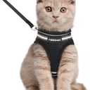 rabbitgoo Cat Harness and Leash Set for Walking Escape Proof, Adjustable Soft Kittens Vest with Reflective Strip for Cats, Comfortable Outdoor Vest, Black, L