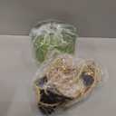 Shenmoyl Plug in Pendant Light Hanging Light Fixture Corded On/Off Switch Brass Pendant Light with Green Striped Glass Lampshade for Bedroom Living Room Kitchen Island (Plugin 1 pack (Pulley))