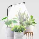 Grow Light for Indoor Plants Growing, 6000K Full Spectrum Gooseneck Plant Lamp for Seedings Succulents Small Plants, Auto On/Off Timing & 5 Dimming, 1-Pack