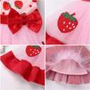 nfant Baby Girl First Birthday Dress Cake Smash Outfits Toddler Strawberry Tulle Tutu Halloween Christmas Cosplay Outfits Easter Baptism Princess Dress for Photo Shoot Pink-Strawberry 2-3 Years
