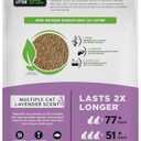 WORLD'S BEST CAT LITTER Multiple Cat Lavender Scented 32-Pounds - Natural Ingredients, Quick Clumping, Flushable, 99% Dust Free & Made in USA - Calming Fragrance & Long-Lasting Odor Control