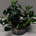 AlphaAcc Artificial Plants Decor Greenery Fake Succulents Indoor Potted Fake Plant with Rustic Black Clay Planter for Home Decor Farmhouse Room Bathroom Bedroom Kitchen Office Table Decor