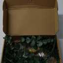 2 Pieces Gold Wall Decor Hanging Planters with Artificial Plants Metal Vase Indoor Plants Holder Modern Geometric Wall Art for Home Bathroom Bedroom Living Room Office(Eucalyptus,Medium)