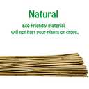 Natural Bamboo Trellis 24 Inches Tall, Mininfa Garden Ladder Trellis, Plant for Climbing Plants, Vegetables, Pots - 3 Pack