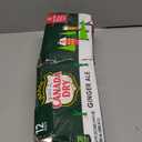 Canada Dry Ginger Ale Soda, 12 fl oz Cans, 12 Pack, BBD: JUL 07/26