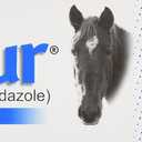 Panacur Dewormer Horse Paste 10%, 100mg