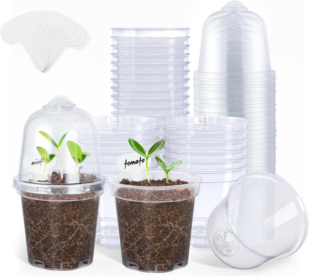 Premium Pack of 60 Growing Pots with Humidity Dome - Transparent Plastic Plant Pots - For Succulents, Seeds, Seedlings, Orchids, 2.25x3x3"