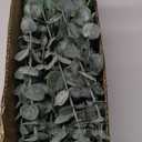 Giegxin 90 Pcs 3 Kinds Mixed Artificial Eucalyptus Leaves Stems Bulk Silver Dollar Leaves Picks Dried Eucalyptus Bundle Faux Spray for Wedding Vase Bouquet Floral Arrangement (Green)