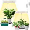 LORDEM Grow Light for Indoor Plant, Full Spectrum LED Plant Light, Height Adjustable Growing Lamp with Auto On/Off Timer 4H/8H/12H, 4 Dimmable Brightness, Ideal for Home Desk Plant Lighting, 2 Pack