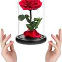 Red Roses Handmade Rose in Glass Dome, Preserved Flowers Never Withered Romantic Gifts for Her, Mother's Day, Birthday Gifts for Women