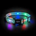 Light up Dog Collars,Led Dog Collar Rechargeable,Glow in Dark Dog Lights for Walking at Night for Dogs (Blue), One Size