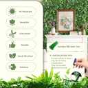TTTM Artificial Greenery Boxwood Roll Panels: 80"x120" (67 SQFT), UV-Resistant Hedge Grass Wall & Faux Ivy Plants Privacy Fence for Indoor and Outdoor Balcony Screen, Event Backdrop Decor