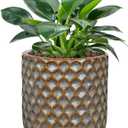 Oairse Small Ceramic Pots for Plants, 5.3 inch Brown Plant Pot Indoor with Drainage Ceramic Planters for Indoor Plants Succulent Planters Decorative Flower Pots for Cactus, Snake Plant, Herb