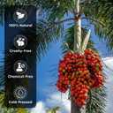 2 x Batana Oil with Organic Rosemary & Biotin  Hair, Eyebrow & Eyelash Growth Serum  Nourishing Oil for Thicker, Fuller-Looking Hair, Brows & Lashes  Strengthens Roots & Conditions Dry Ends