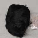 FESHFEN Pixie Cut Wigs Synthetic Short Pixie Haircut Wig with Bangs Glueless Layered Wig Wavy Wigs for Women, Black