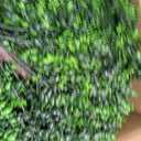 Grooy Artificial Topiary Tree with Eucalyptus, Set of 2 Artificial Shrub Bushes with Ground Spike, Fake Evergreen Tree for Porch, Artificial Plants for Outdoor Planters Indoor UV Resistant