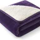 Bedsure Waterproof Dog Blankets for Small Dogs - Small Cat Blanket Washable for Couch Protection, Sherpa Fleece Puppy Blanket, Soft Plush Reversible Throw Furniture Protector, 25"X35", Eggplant