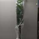 Nearly Natural 5295 4ft. Kentia Palm Silk Tree,Green
