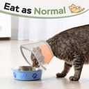 Cat Cone Collar Soft: Comfortable Waterproof Mesh Recovery Cone After Surgery to Stop Licking and Scratch, Alternative to Plastic Elizabeth Head/Neck Cone for Large Cats and Small Dogs