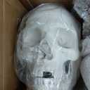 HADWYN Life Size Human Skeleton Model for Anatomy- Medical Human Skeleton Model with Nervous System 70.8 in with Rolling Stand for Medical Study and Display 3 Posters