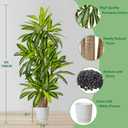 Warmplants Artificial Dracaena Tree 6ft, Fake Yucca Plant with White Planter and Lifelike Leaves, Faux Dracaena Tall Floor Trees for Home Office Garden Décor