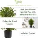 Nearly Natural 2 ft Artificial Norfolk Island Pine in Decorative Planter