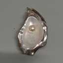 Hand Blown Glass Oyster Ornament for Christmas Tree