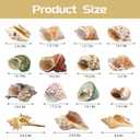 ECVLRTK 15 Pcs of Medium Hermit Crab Shells Natural Conch Size 1.3-3 in, Opening Size 0.6-1.5in. Growth Turbo Shells Suitable for Natural Hermit Crab Supplies Conch Ornaments