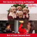 2 x Razzle-Dazzle, Confetti Explosion Gift Box Insert 3pk Gold (DIY). Show Them How Much You Cherish Them With Our Exploding Surprise Confetti Add-On. (Red: 3 Pack)