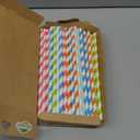 Biosmart Paper Straws Jumbo Pack 75 Count, 1 Ea